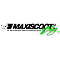 Maxiscoot